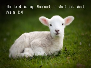 psalm-23-1